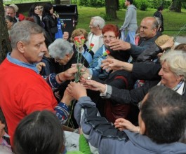 karanfili Cvijeće